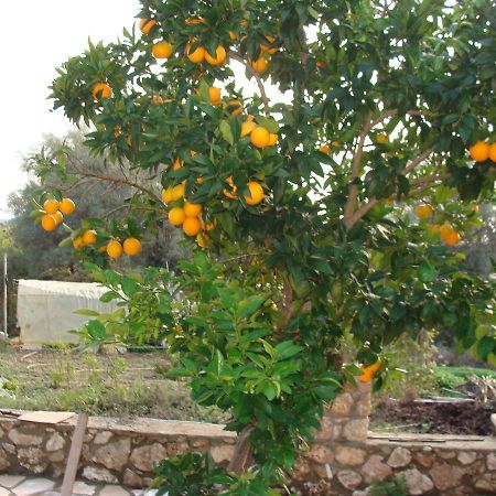 Villa Galini Nikiana Bagian luar foto