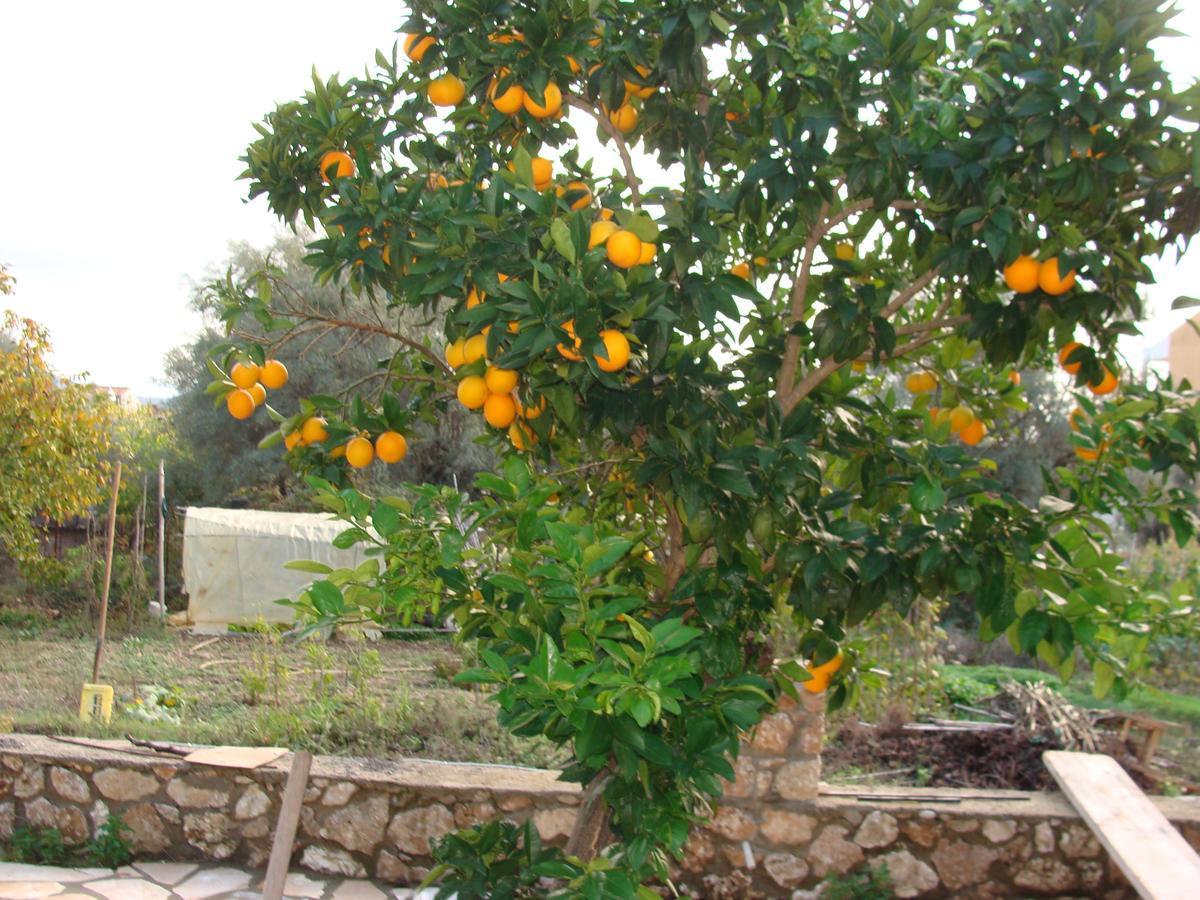 Villa Galini Nikiana Bagian luar foto